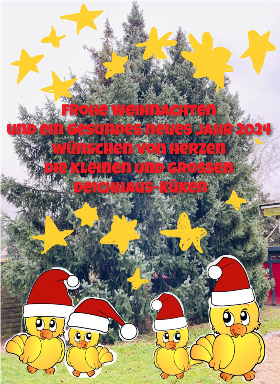 Weihnachtsgruss 2024